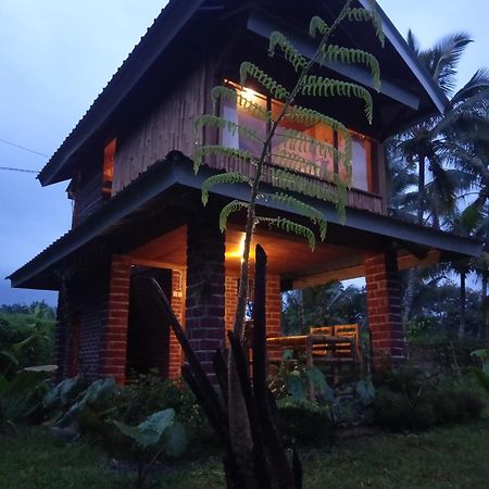 Coconut Homestay Tetebatu Esterno foto
