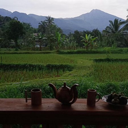 Coconut Homestay Tetebatu Esterno foto