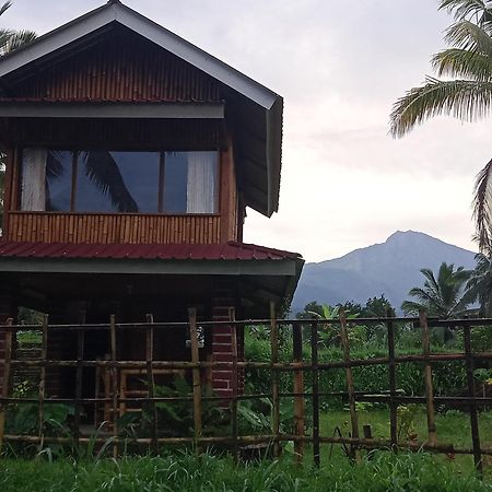Coconut Homestay Tetebatu Esterno foto