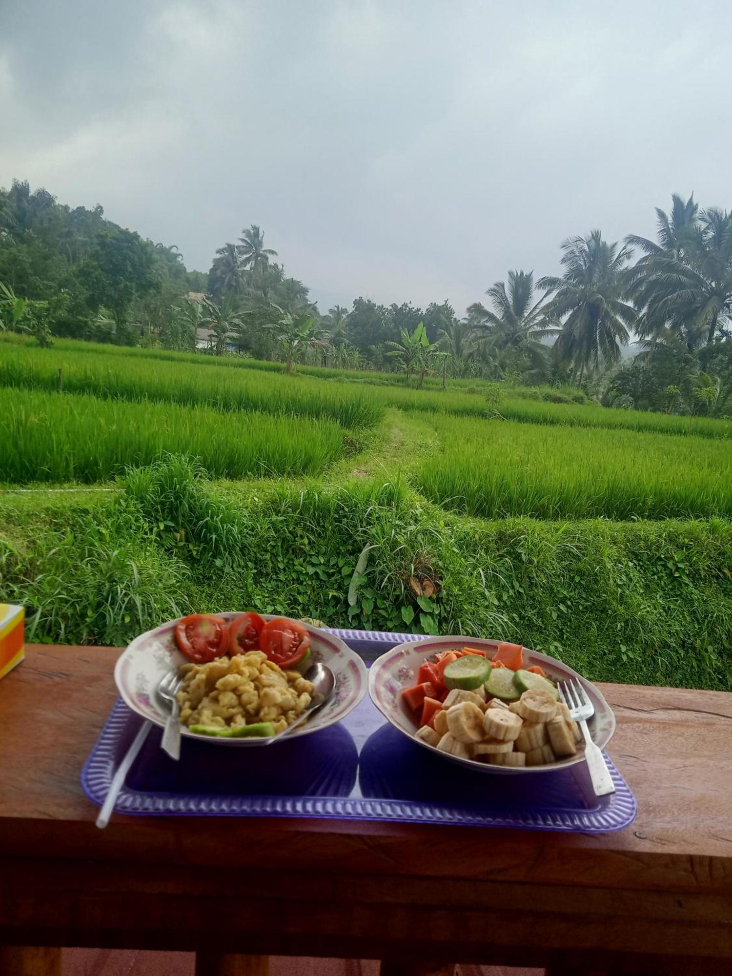 Coconut Homestay Tetebatu Esterno foto