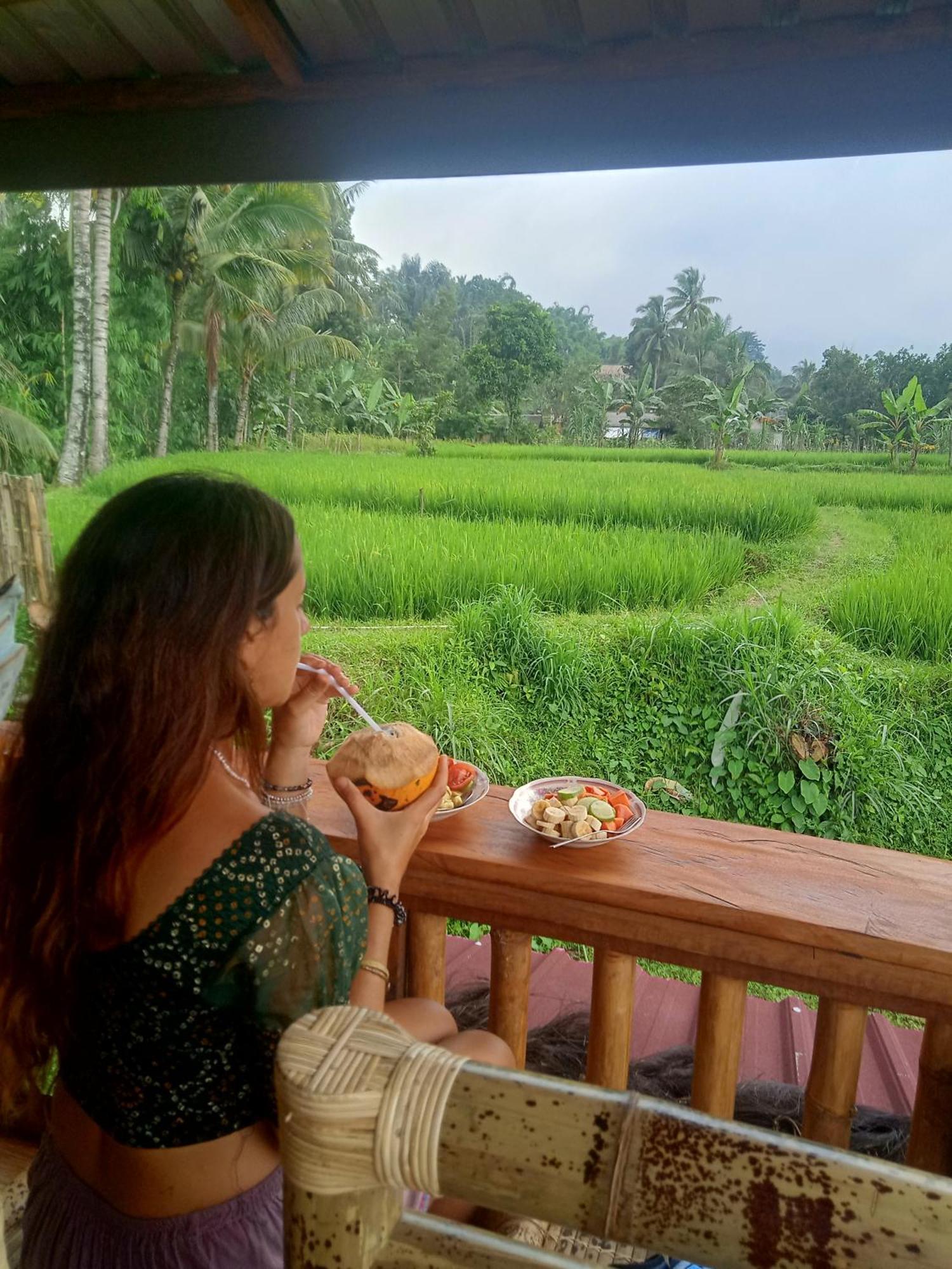 Coconut Homestay Tetebatu Esterno foto