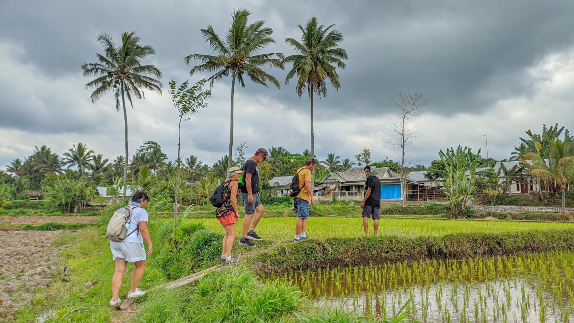 Coconut Homestay Tetebatu Esterno foto