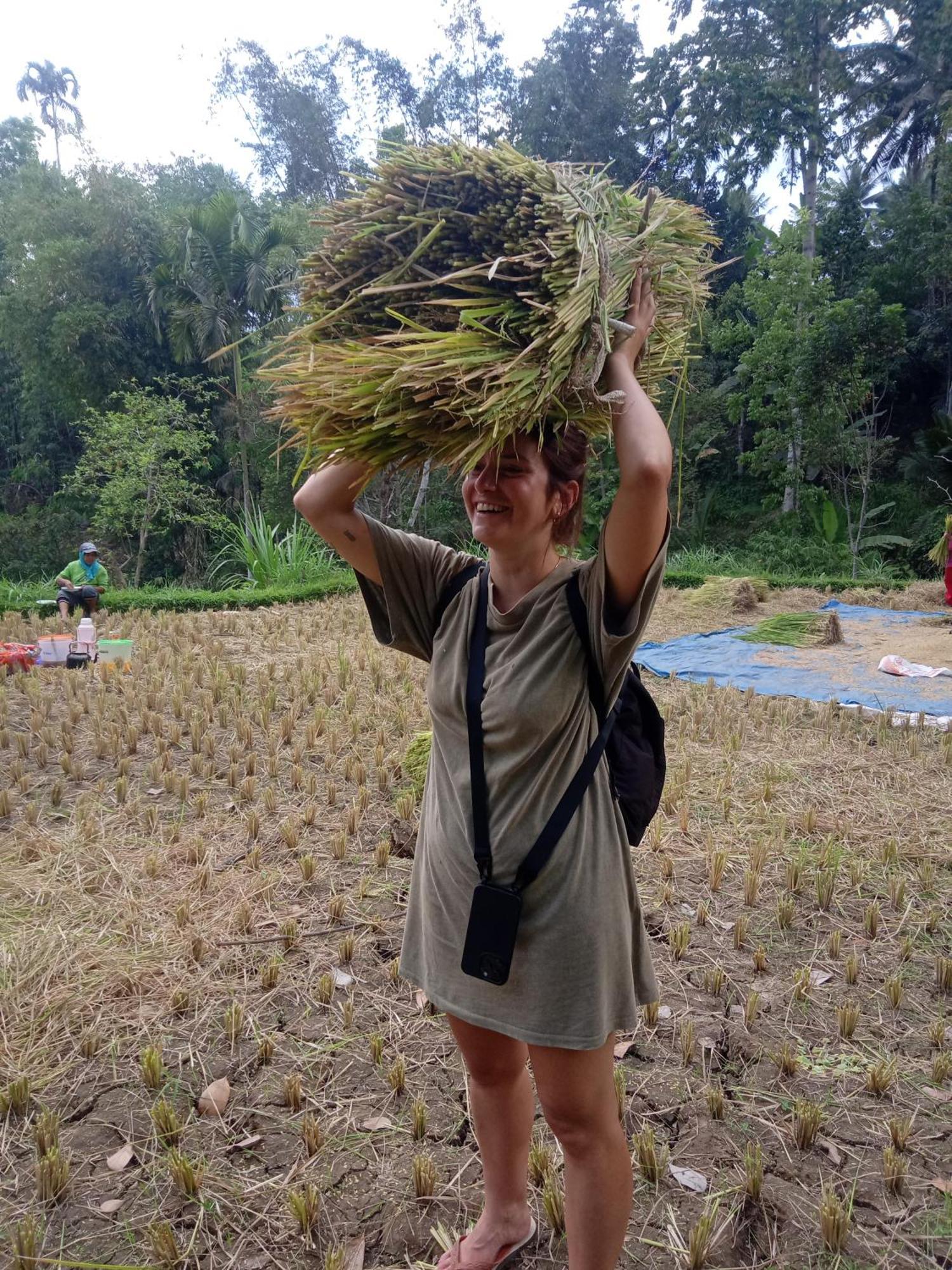 Coconut Homestay Tetebatu Esterno foto