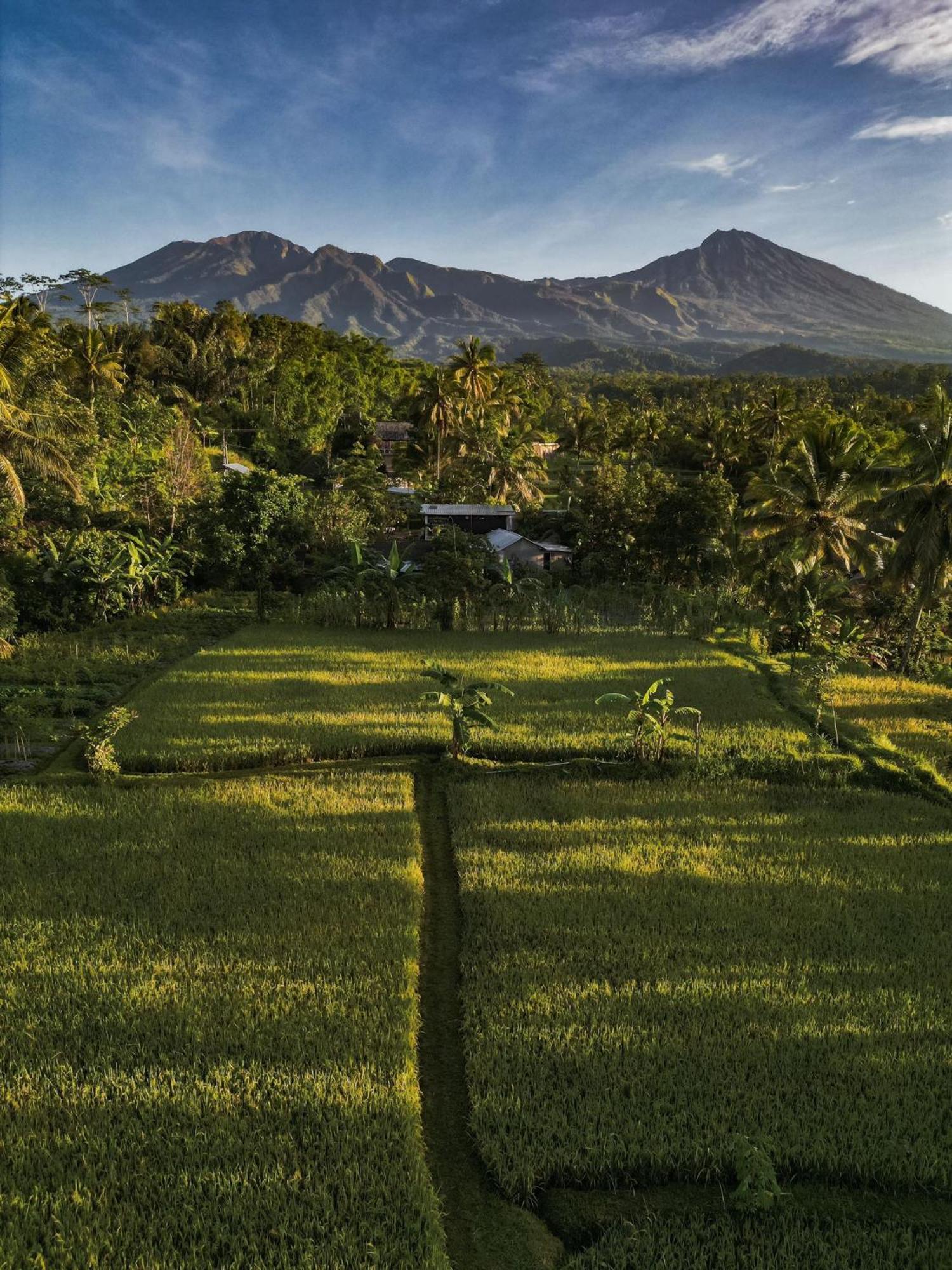Coconut Homestay Tetebatu Esterno foto