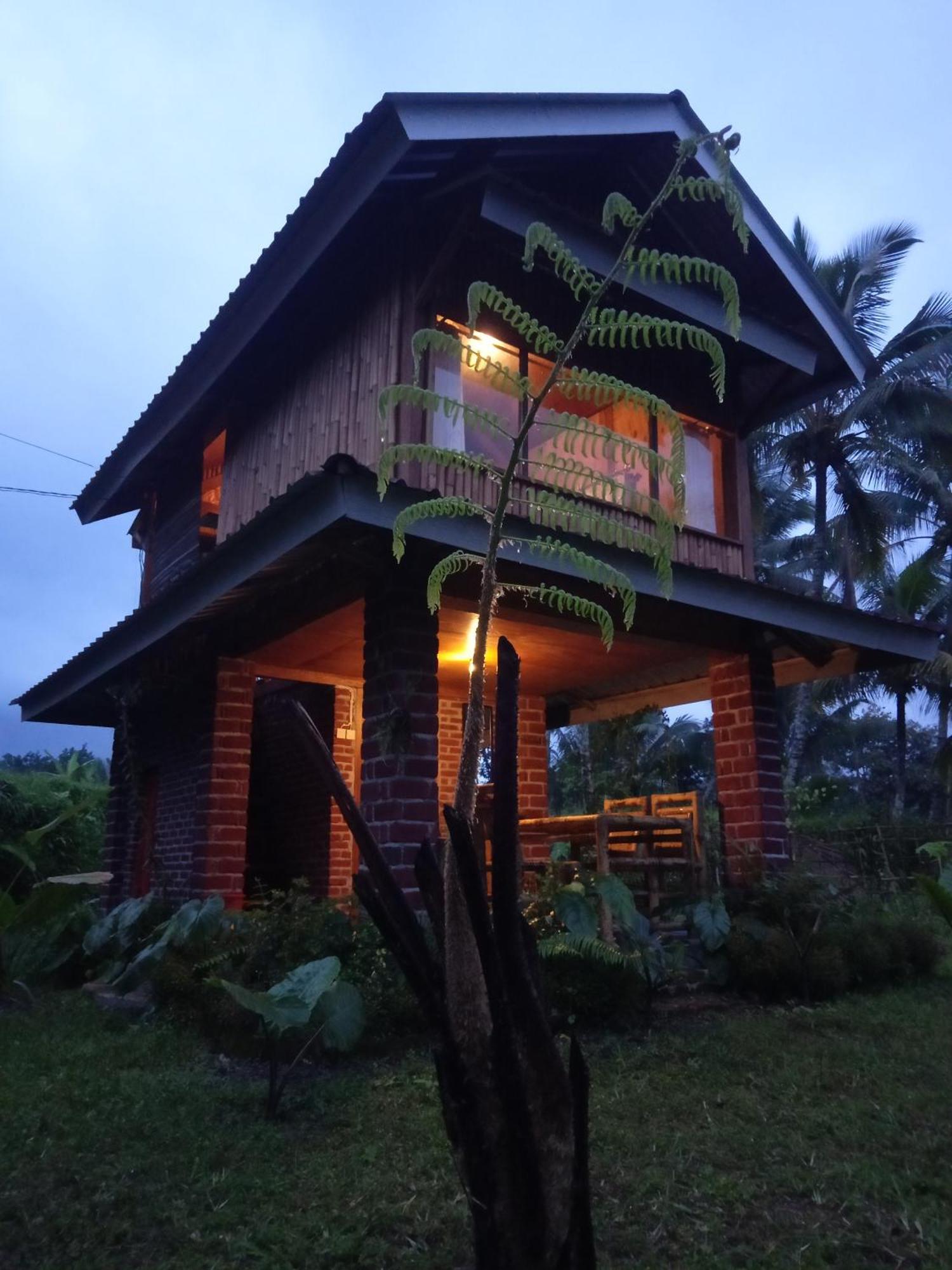 Coconut Homestay Tetebatu Esterno foto