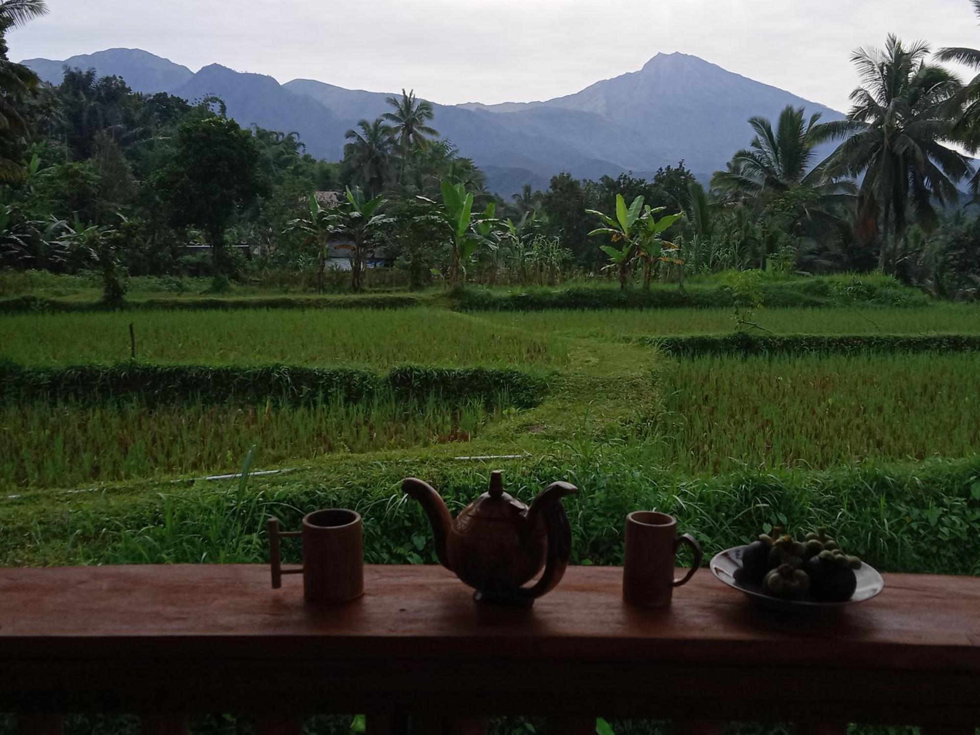 Coconut Homestay Tetebatu Esterno foto